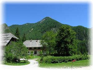Turistična kmetija Ancel